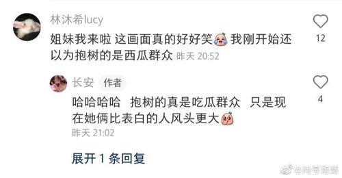 吃瓜群众沈某某小说免费阅读,揭秘小说世界中的免费阅读之旅